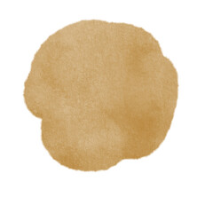 Watercolor Paint Splatter