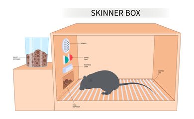 Skinner box manipulate for animal behaviour educational law of effect experimental scientist