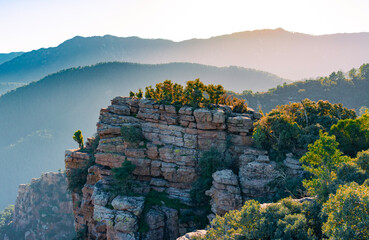 Vistas desde los órganos de Benitandus