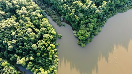 Aerial view of the Amazon forests and river.
