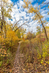 Meewasin Park is Saskatoon's premiere park along the river.