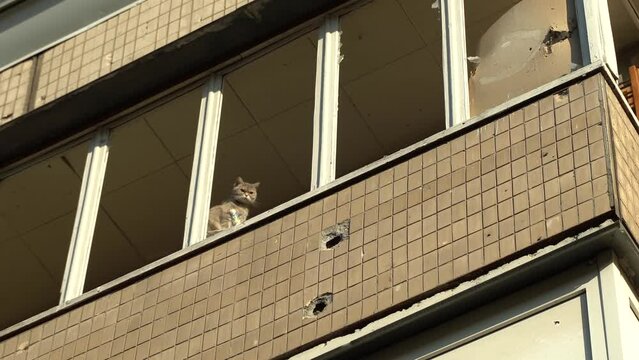 Consequences of rocket attack on the center of Ukraine. Funnel from a drone explosion. Attack of Iranian Shahed 136 drones on Kyiv. Damaged residential building. Broken windows and holes from debris. 