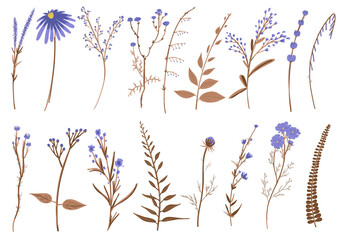 Fototapeta na wymiar Wild flowers collection. Big set of floral blossom elements. Branches, leaves, herbs, plants. Garden, meadow, field collection leaf, foliage, branches. Bloom vector illustration isolated on white