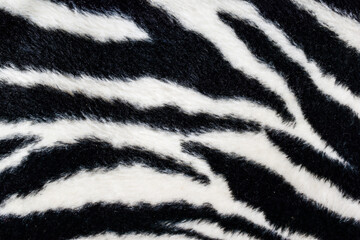 Fototapeta na wymiar abstract black and white feather background texture
