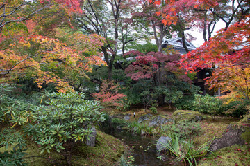 Autumn leaves at Hogonin temple, Kyoto, Japan
