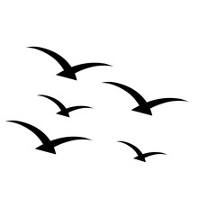 Fototapeta premium bird silhouette