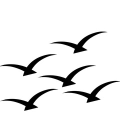 Fototapeta premium bird silhouette