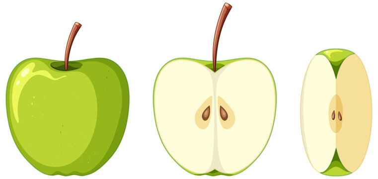 Green apple in whole and sliced pieces