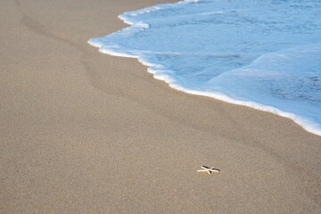 footprints on the sand