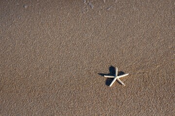 star on sand