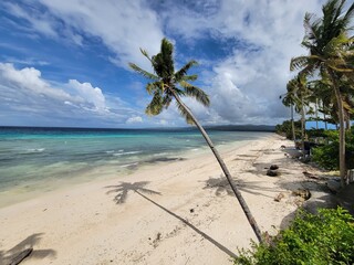Idyllic Beach Scene: Palm Trees and White Sandy Beach on Tropical Island - Siquijor, Philippines