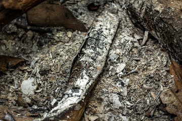 Embers after a fire. Smoldering fire burning log of wood close-up.