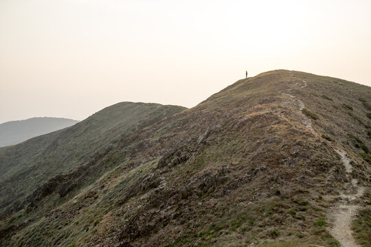 Mount Feathertop In The Morning