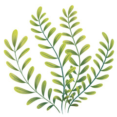 Green Leaves Seaweed PNG Clipart