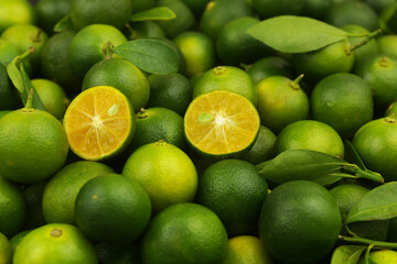 Many fresh ripe calamansi limes as background.