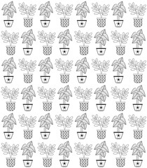 Title: Organic Plants background pattern. Organic decorative home plants and tropical plants background pattern. Hand drawn abstract leaves pattern. Hand drawn seamless pattern.


