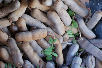 Sweet tamarind with brown pods is commonly grown in South Asia. and East Africa, the tamarind pulp is sweet, used as an unripe fruit and the young shoots are sour, popular to cook in food.