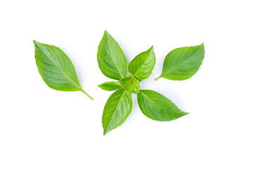 Fresh sweet basil leaves isolated on white background, top view, flat lay.