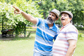 Happy senior indian man wearing hat pointing at something far to his mature friend at summer park. Retirement Life. Low Angle Shot