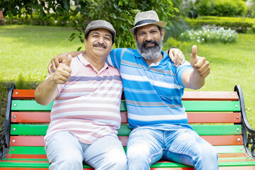 Happy senior indian men friends sitting in the summer park spent time together. Retired people...