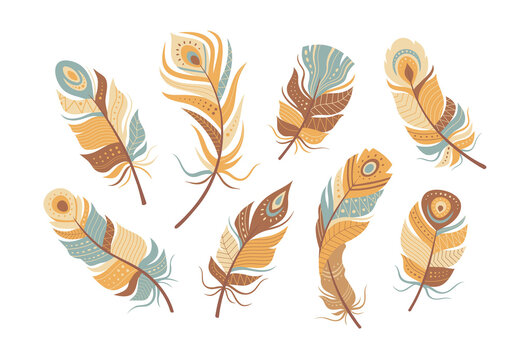 Feathers Vector Illustration
