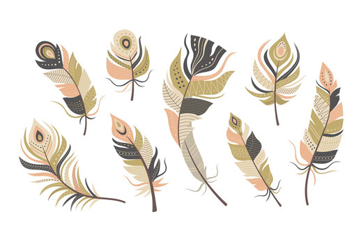 Vector Feathers Illustration