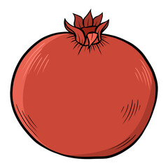red ripe pomegranate
