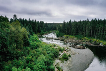 Fototapeta na wymiar Winding wilderness river through green pine tree forest