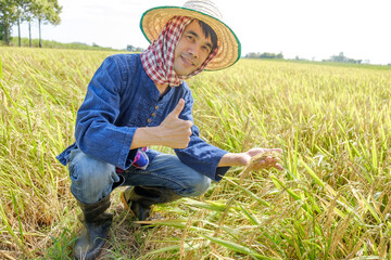 Naklejka na ściany i meble Asian male farmer wearing a striped shirt wearing a hat sitting and thumb up at the rice field with a smiling face