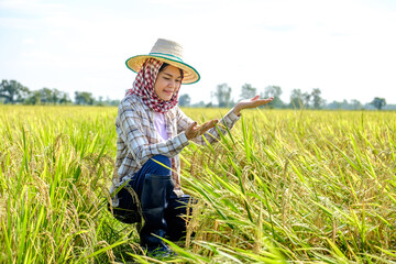 Naklejka na ściany i meble Asian female farmer wearing a striped shirt wearing a hat sitting and looking at the rice field with a smiling face