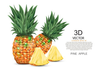 vector illustration pineapples and two pineapples slice design template. on the white background.