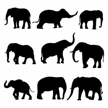 silhouette of elephant Bundle icon black white