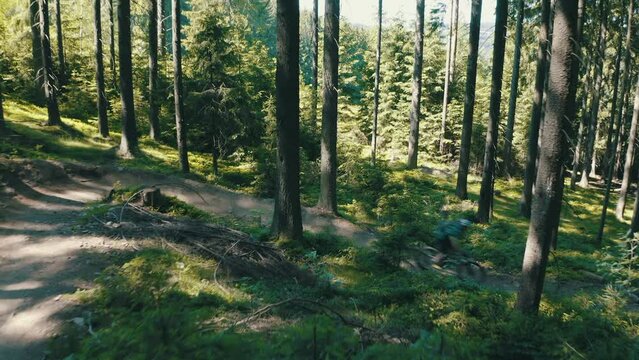 Man riding a mountain bike fast down the trail - cinematic moving camera shot
