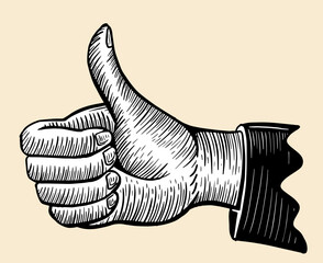 thumbs up hand drawing, hand drawn vector