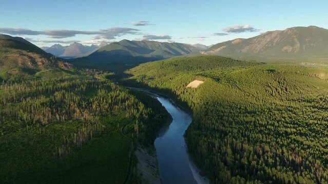River Flowing Between The Wilderness With Lush Forest On A Sunny Day In Summer.. - aerial