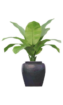 Houseplant