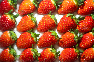 Red ripe strawberries with green stems