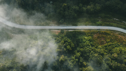 Road through the green rainforest. Aerial top view forest on misty fog morning. Ecosystem and healthy environment concept and background.