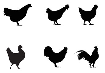 hen chicken silhouette set, silhouettes of hen chicken. vector Illustration