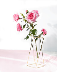 Glass vase with metallic frames with flowers roses. Stylish modern interior element. White background.