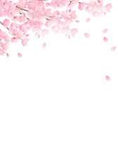 Fototapeta na wymiar 水彩の桜のベクターイラスト背景