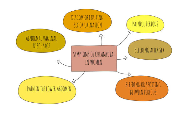 symptoms of chlamydia in women.  Vector illustration for medical journal or brochure. 