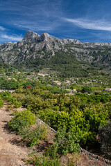 Fototapeta na wymiar Biniaraix, orchards with the mountains in the background, Soller valley route, Mallorca, Balearic Islands, Spain