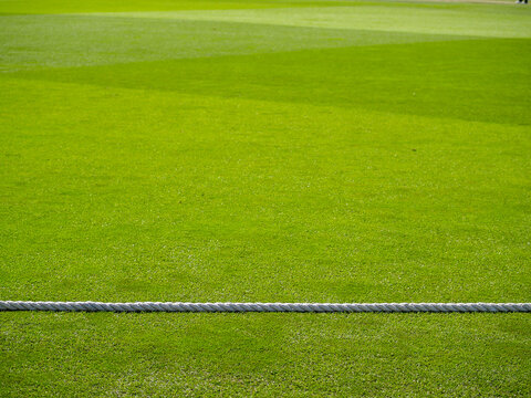 White Rope Divides Green Lawn