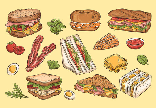 Sandwich Illustrations