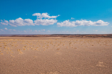 A dirt road in the panoramic desert landscapes of Loiyangalani District in Turkana, Kenya