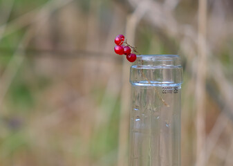 Transparent glass. Wine bottle neck marking. Red berries. Copy space.