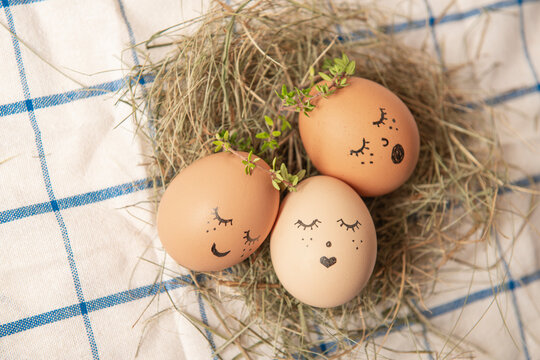 Easter egg with cute face in green plant wreath. Sleepy easter egg - Home crafts happy haster concept.
