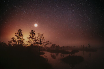 Dramatic Twilight Sky With Rising Planet Venus Over Swamp Landscape. Misty Morning Time. Soft Colors. Amazing Glowing Stars Effects Above Lonely Trees. Morning Fog Covers Swamp. © Great Brut Here