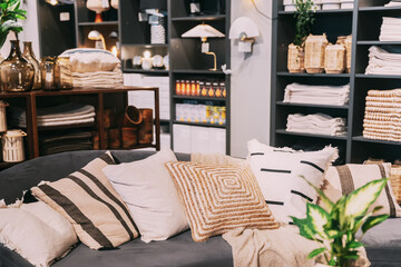 Home accessories and household products in store of shopping centre. View of home accessories for living room in shop fashion retail store. Sofa with pillows. View of assortment of decor for interior - obrazy, fototapety, plakaty